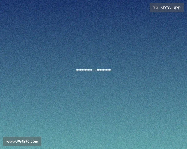 周莉莉：从王牌选手到SSS战队老板的蜕变之路