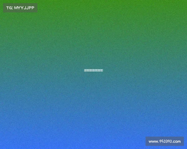 沈阳海豚电子竞技有限公司